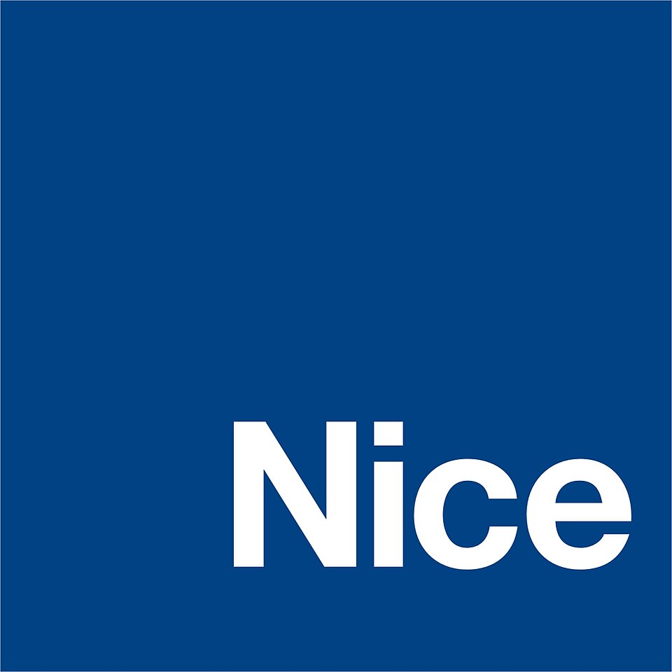 logo nice rgb